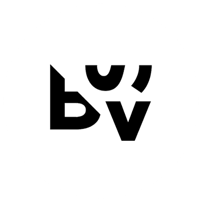 BSV Logo